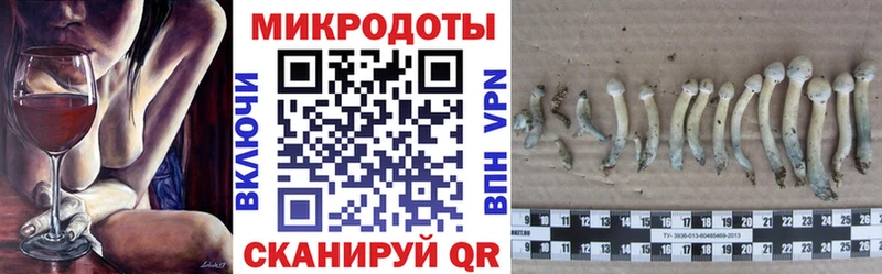 Галлюциногенные грибы ЛСД  Краснообск 